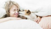 Communiquer avec les animaux Communiquer avec les animaux
