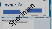 Exemple de formulaire attestant un résultat de test PCR négatif Exemple de formulaire attestant un résultat de test PCR négatif