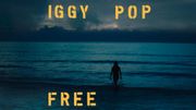 "Free", le nouvel album d'Iggy Pop annoncé pour septembre "Free", le nouvel album d'Iggy Pop annoncé pour septembre