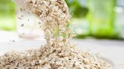 Comment végétaliser nos assiettes et booster sainement notre capital santé ? Comment végétaliser nos assiettes et booster sainement notre capital santé ?