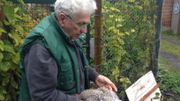 Pierre Parez vérifie régulièrement si ses poules ne portent pas les signes de la maladie Pierre Parez vérifie régulièrement si ses poules ne portent pas les signes de la maladie