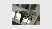 Clotilde Ancarani Clotilde Ancarani