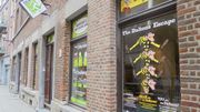 Dix nouveautés touristiques belges à ne pas louper cette année (carte + vidéos) Dix nouveautés touristiques belges à ne pas louper cette année (carte + vidéos)
