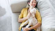 Une personne sur cinq préfèrerait avoir un chien qu'une relation amoureuse Une personne sur cinq préfèrerait avoir un chien qu'une relation amoureuse