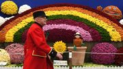 Au Chelsea Flower Show, des jardins du futur face au changement climatique Au Chelsea Flower Show, des jardins du futur face au changement climatique
