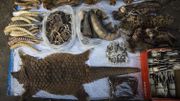 Illegal Trading At Myanmar's Lawless Region, Mong La Illegal Trading At Myanmar's Lawless Region, Mong La