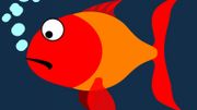 Le jour où … la RTBF fait son poisson d’avril Le jour où … la RTBF fait son poisson d’avril