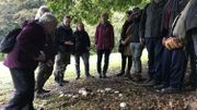 Cueillette des champignons : mieux vaut s'y connaître ou… s'abstenir Cueillette des champignons : mieux vaut s'y connaître ou… s'abstenir