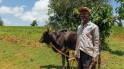Les 4500 habitants du village d'Esho sont heureux que Manu soit venu les aider à améliorer les conditions de vie de leur village. Les 4500 habitants du village d'Esho sont heureux que Manu soit venu les aider à améliorer les conditions de vie de leur village.