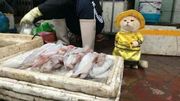 Le poissonnier le plus mignon du Vietnam Le poissonnier le plus mignon du Vietnam