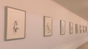 L'expo nous permet également de découvrir le Paris des années 60. L'expo nous permet également de découvrir le Paris des années 60.