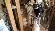 Sous le regard de Joseph, Toine s'apprête à vider un sac de blé dans la trémie Sous le regard de Joseph, Toine s'apprête à vider un sac de blé dans la trémie