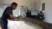 Le matériel doit être improvisé pour répondre à l'anatomie bien particulière d'un serpent d'une telle taille. Le matériel doit être improvisé pour répondre à l'anatomie bien particulière d'un serpent d'une telle taille.