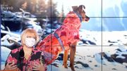 Comment prendre soin de nos animaux de compagnie durant l'hiver ? Comment prendre soin de nos animaux de compagnie durant l'hiver ?