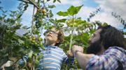 Optimiser son potager en y associant les bons légumes entre eux Optimiser son potager en y associant les bons légumes entre eux