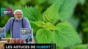 L'ortie et ses bienfaits pour la santé L'ortie et ses bienfaits pour la santé