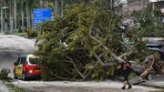 Un taxi endommagé par un arbre à Hong Kong Un taxi endommagé par un arbre à Hong Kong