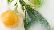La congélation des aliments, ce qu'il est important de savoir La congélation des aliments, ce qu'il est important de savoir
