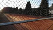 Sport amateur: le coronavirus pourrait sonner le glas du TC Nismes, Couvin s'en sortira Sport amateur: le coronavirus pourrait sonner le glas du TC Nismes, Couvin s'en sortira