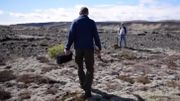 L'Islande veut retrouver ses forêts détruites par les Vikings L'Islande veut retrouver ses forêts détruites par les Vikings