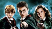 Harry Potter, Dumbledore ou Dobby... Lequel préférez-vous ? Harry Potter, Dumbledore ou Dobby... Lequel préférez-vous ?