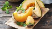 Melon Charentais Melon Charentais