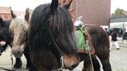Quatre chevaux encadrent la châsse avec les reliques de Saint-Véron Quatre chevaux encadrent la châsse avec les reliques de Saint-Véron
