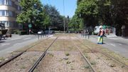 Le sédum, l'idée verte de la STIB pour recouvrir les mauvaises herbes plutôt que les combattre Le sédum, l'idée verte de la STIB pour recouvrir les mauvaises herbes plutôt que les combattre