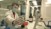 L'institut de Recherche et d'Expertise Scientifique de Strasbourg va analyser les cheveux L'institut de Recherche et d'Expertise Scientifique de Strasbourg va analyser les cheveux