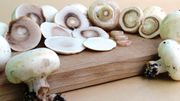 Comment nettoyer les champignons? Comment nettoyer les champignons?