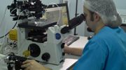 Les chercheurs ont mis en garde les laboratoires de génétique contre les pirates informatiques qui pourraient, un jour, utiliser des échantillons de sang synthétique ou de salive pour accéder aux ordinateurs de l'université. Les chercheurs ont mis en garde les laboratoires de génétique contre les pirates informatiques qui pourraient, un jour, utiliser des échantillons de sang synthétique ou de salive pour accéder aux ordinateurs de l'université.