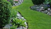 L'étrange monde des devis de jardinage L'étrange monde des devis de jardinage