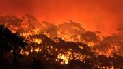 Australie: le combat des autorités contre les feux de brousse Australie: le combat des autorités contre les feux de brousse