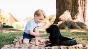 Le nouveau membre de la famille Kensington est poilu et aboie, le nouveau chien de William et Kate Le nouveau membre de la famille Kensington est poilu et aboie, le nouveau chien de William et Kate