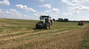 Céréales : des moissons abondantes mais des prix catastrophiques Céréales : des moissons abondantes mais des prix catastrophiques