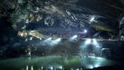 Les Grottes de Han Les Grottes de Han