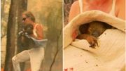 Une Australienne court dans les flammes pour sauver un koala pris au piège Une Australienne court dans les flammes pour sauver un koala pris au piège