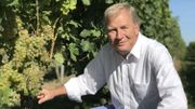 Pierre Rion, co-fondateur et gestionnaire du Domaine de Mellemont, se réjouit de cette récolte 2019 qui s'annonce exceptionnelle. Pierre Rion, co-fondateur et gestionnaire du Domaine de Mellemont, se réjouit de cette récolte 2019 qui s'annonce exceptionnelle.