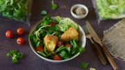 Recette : salade de feuilles de chêne et mâche aux légumes et camembert pané Recette : salade de feuilles de chêne et mâche aux légumes et camembert pané