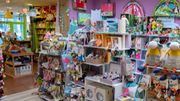 Concours : Gagnez des jouets des magasins Fox & Cie Concours : Gagnez des jouets des magasins Fox & Cie