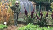 Echanger les graines de son potager: bon pour le porte-feuille et la biodiversité Echanger les graines de son potager: bon pour le porte-feuille et la biodiversité