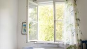 Conseils pour respirer sain chez vous Conseils pour respirer sain chez vous