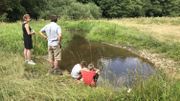 Une des cinq mares très importantes pour la biodiversité de la prairie Une des cinq mares très importantes pour la biodiversité de la prairie