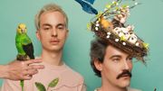 Allez voir l'avant-première de 'Ça fait rire les oiseaux' au TTO Allez voir l'avant-première de 'Ça fait rire les oiseaux' au TTO