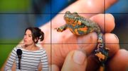 Découverte d'un espace étonnant pour la biodiversité : les carrières Découverte d'un espace étonnant pour la biodiversité : les carrières