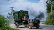 La Chine offre de l’argent aux agriculteurs pour renoncer au commerce d’espèces sauvages La Chine offre de l’argent aux agriculteurs pour renoncer au commerce d’espèces sauvages