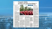 Le temps a été parfait pour les cerises et les pommes Le temps a été parfait pour les cerises et les pommes