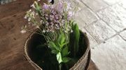 La récolte de plantes comestibles sauvages du matin La récolte de plantes comestibles sauvages du matin