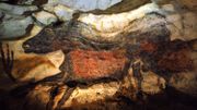 Les artistes rupestres peignaient-ils sous influence ? Les artistes rupestres peignaient-ils sous influence ?