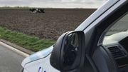 Les vaches se sont arrêtées dans une parcelle immense. Elles sont à la fois nerveuses car elles n'ont plus aucun point de repère et fatiguées car elles sont en fugue sans doute depuis plusieurs heures Les vaches se sont arrêtées dans une parcelle immense. Elles sont à la fois nerveuses car elles n'ont plus aucun point de repère et fatiguées car elles sont en fugue sans doute depuis plusieurs heures